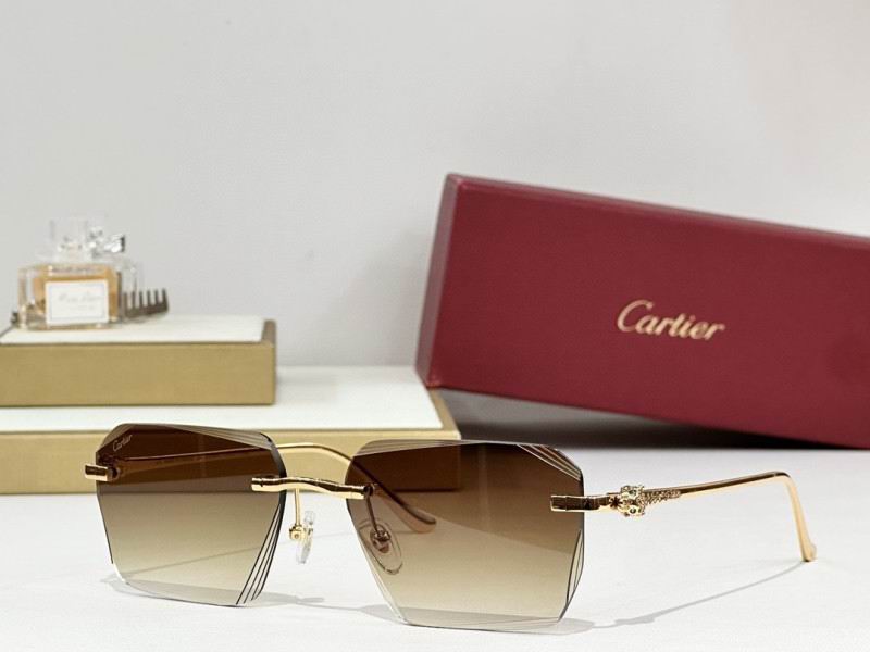 Cartier Glasses 08smh243 (8)