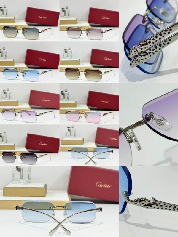 Cartier Glasses 08smh244 (10)