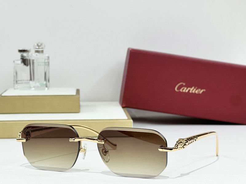 Cartier Glasses 08smh244 (3)