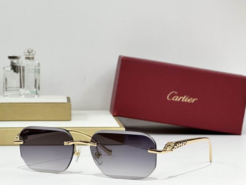 Cartier Glasses 08smh244 (4)