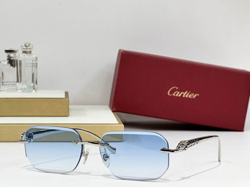 Cartier Glasses 08smh244 (5)