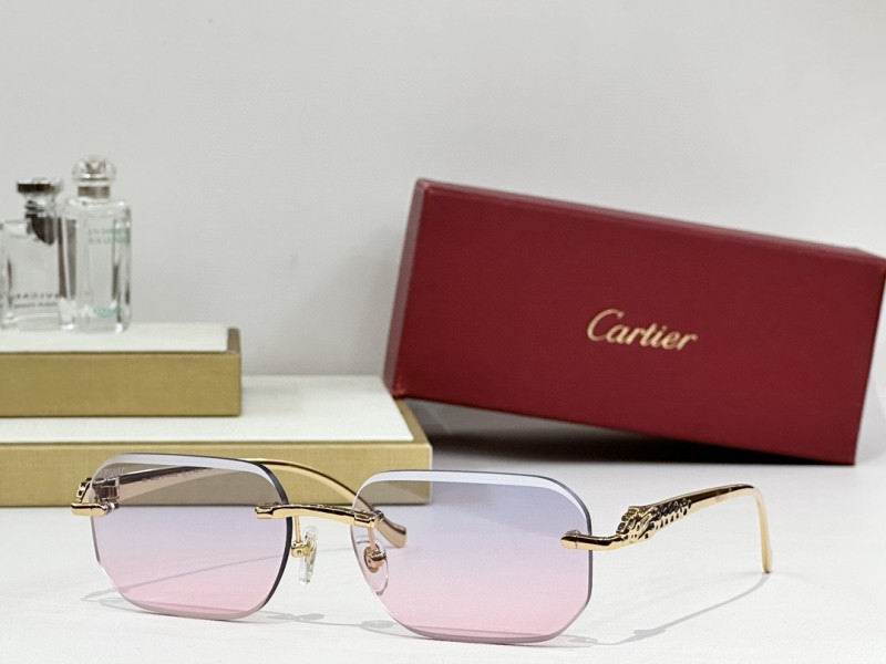 Cartier Glasses 08smh244 (6)
