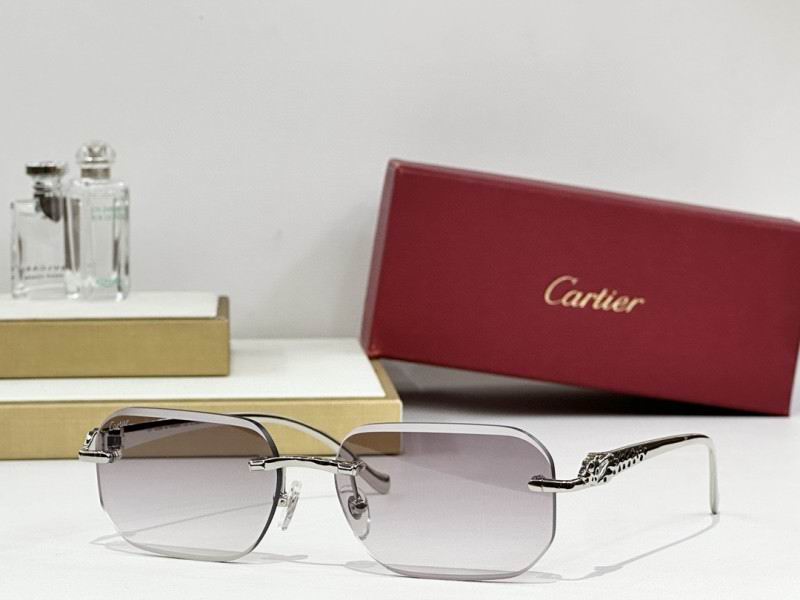 Cartier Glasses 08smh244 (7)