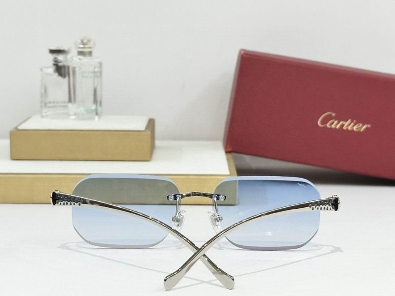 Cartier Glasses 08smh244 (8)