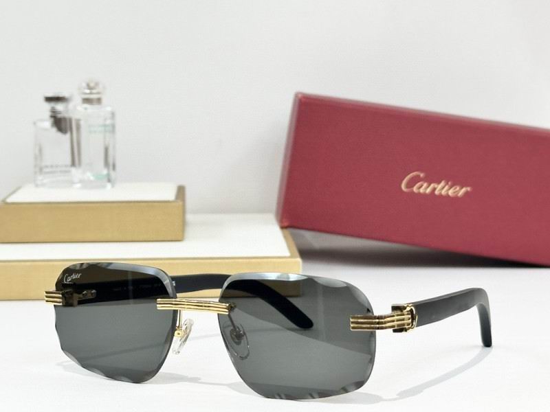 Cartier Glasses 08smh245 (4)
