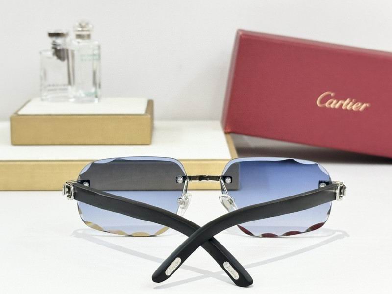 Cartier Glasses 08smh245 (6)