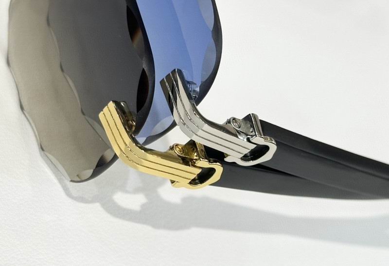 Cartier Glasses 08smh245 (9)