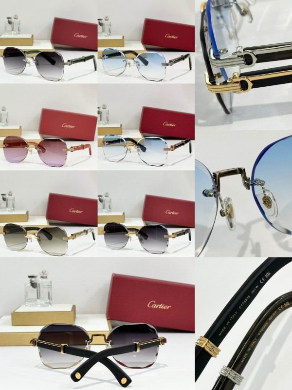 Cartier Glasses 08smh246 (10)