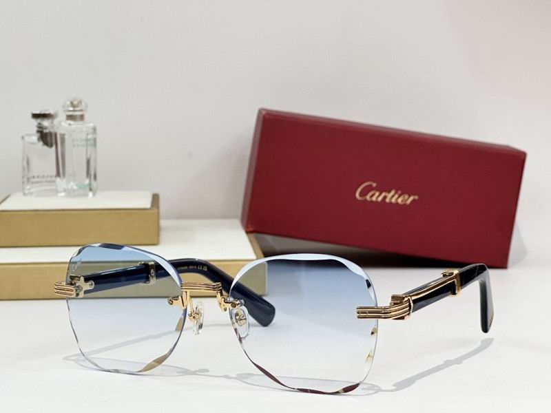 Cartier Glasses 08smh246 (4)