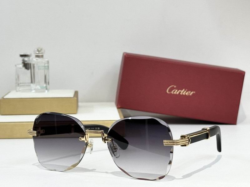 Cartier Glasses 08smh246 (6)