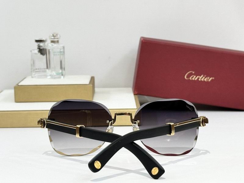 Cartier Glasses 08smh246 (7)