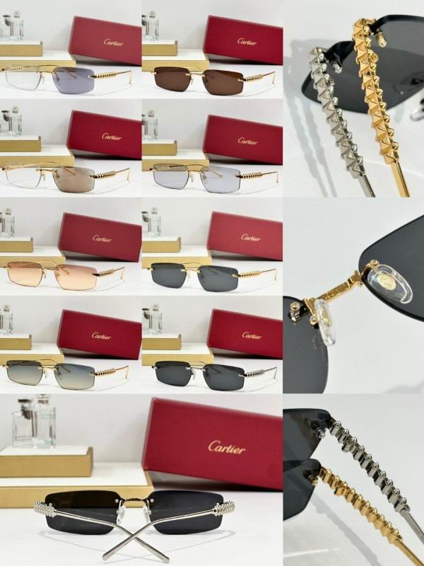 Cartier Glasses 08smh247 (10)