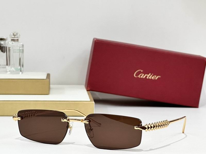 Cartier Glasses 08smh247 (5)