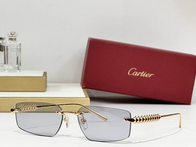 Cartier Glasses 08smh247 (6)