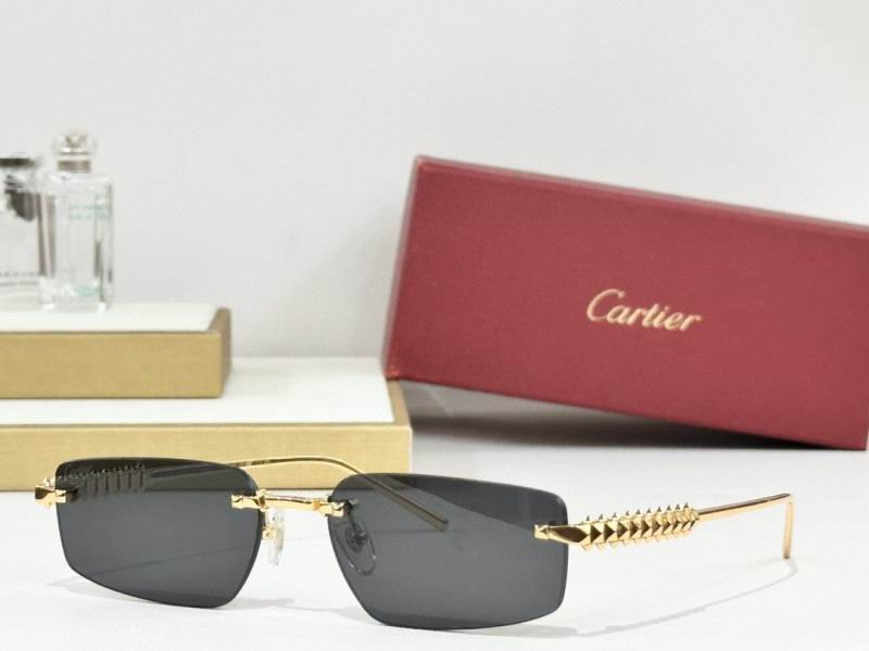 Cartier Glasses 08smh247 (7)