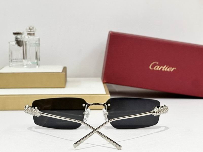Cartier Glasses 08smh247 (9)