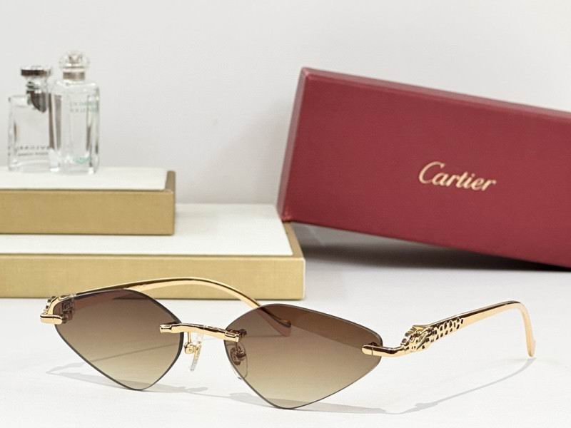 Cartier Glasses 08smh248 (1)