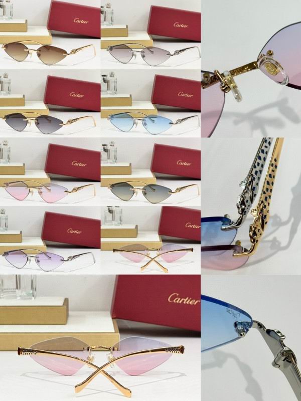 Cartier Glasses 08smh248 (10)