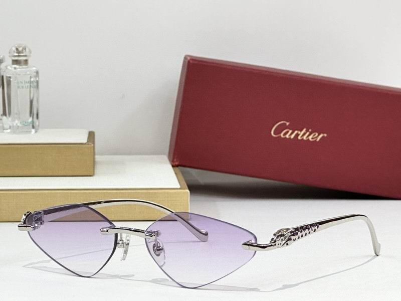 Cartier Glasses 08smh248 (3)