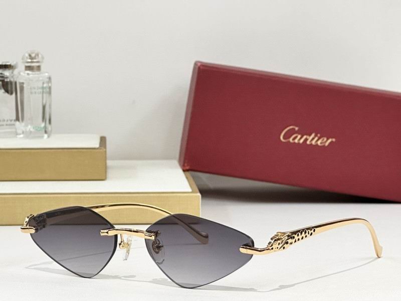 Cartier Glasses 08smh248 (4)