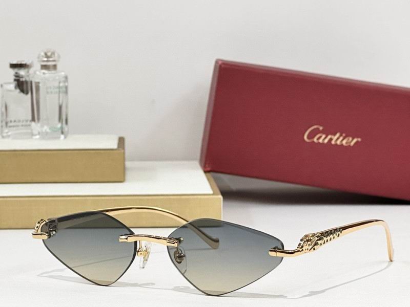 Cartier Glasses 08smh248 (5)