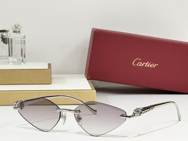 Cartier Glasses 08smh248 (6)