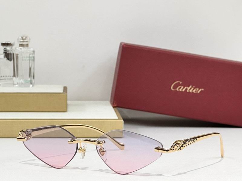 Cartier Glasses 08smh248 (7)