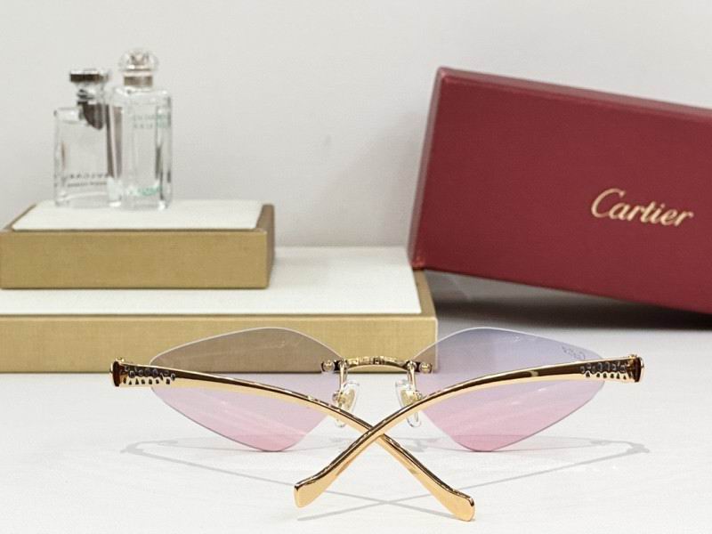 Cartier Glasses 08smh248 (8)