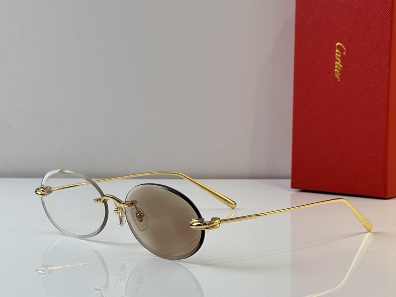 Cartier Glasses 08smh25 (1)