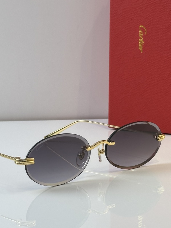 Cartier Glasses 08smh25 (10)