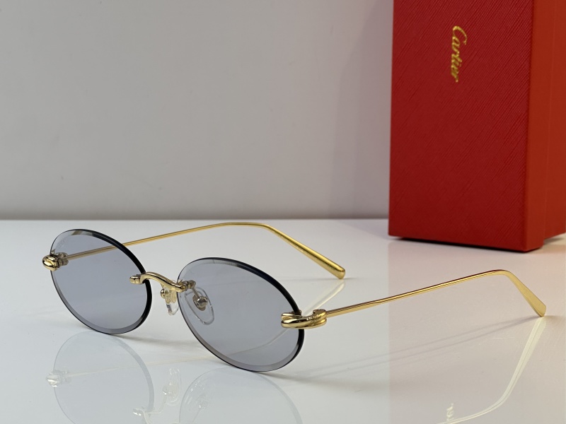 Cartier Glasses 08smh25 (3)