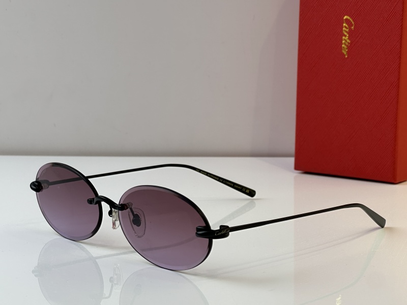 Cartier Glasses 08smh25 (4)