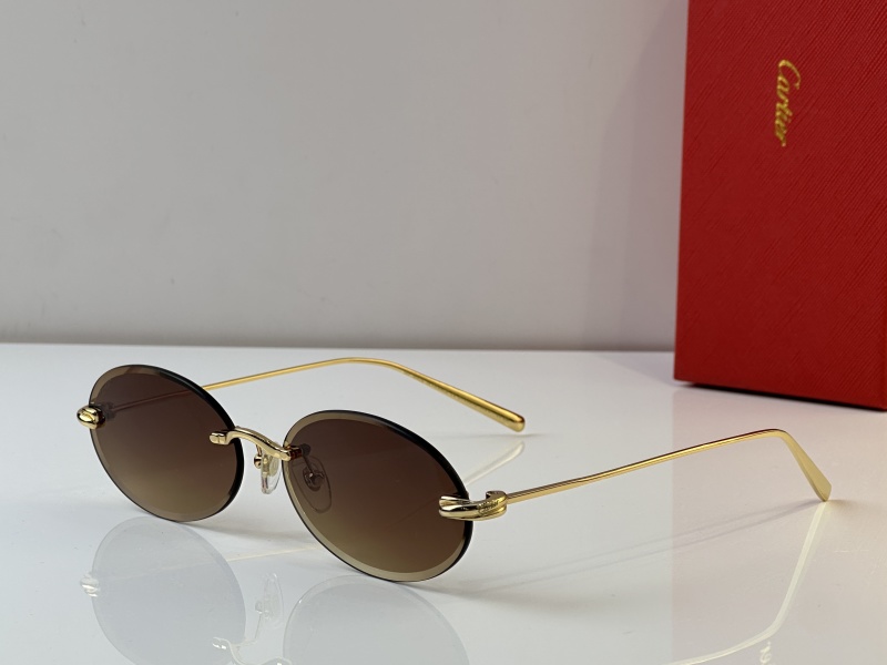 Cartier Glasses 08smh25 (6)