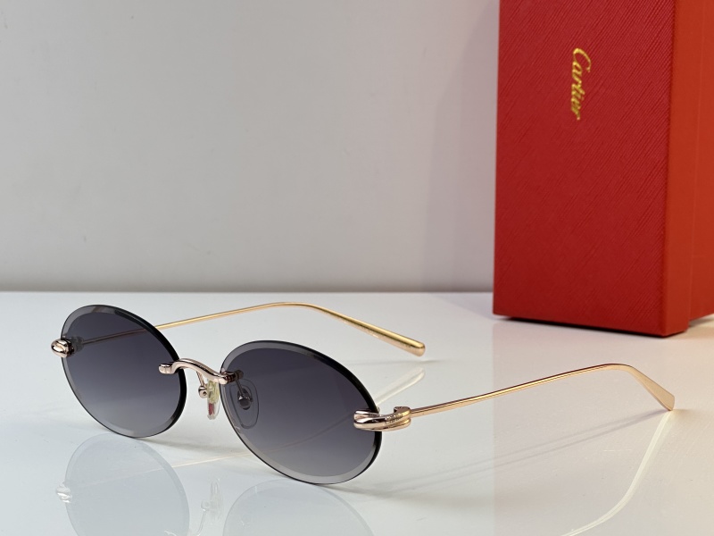 Cartier Glasses 08smh25 (7)