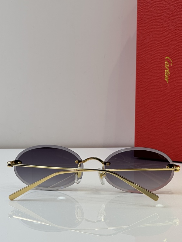 Cartier Glasses 08smh25 (9)