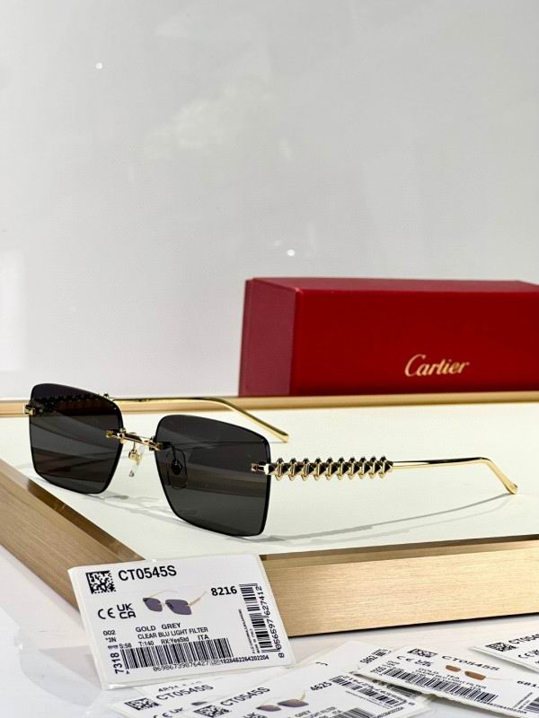 Cartier Glasses 08smh250 (4)