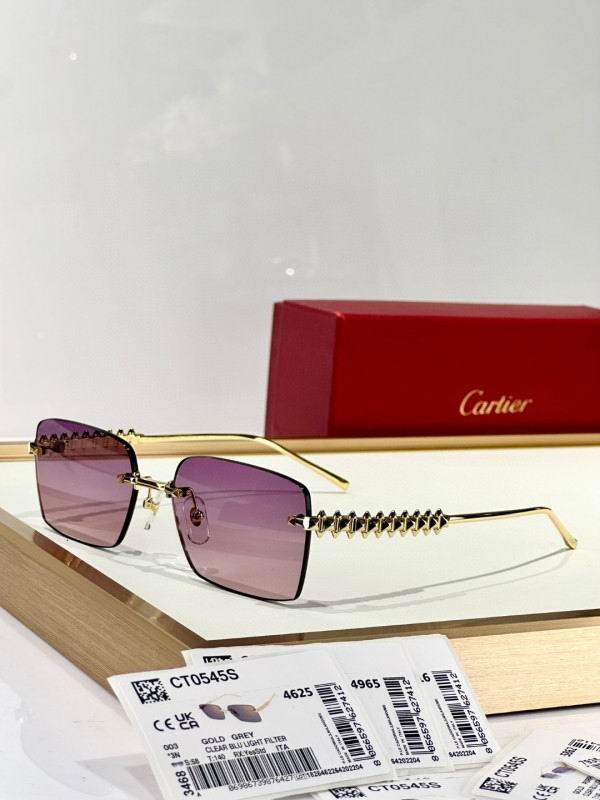 Cartier Glasses 08smh250 (6)