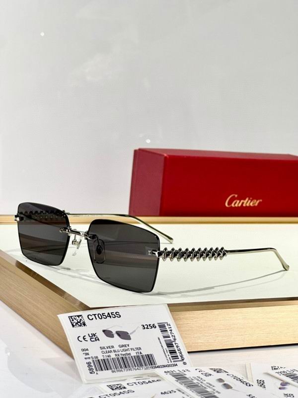 Cartier Glasses 08smh250 (7)