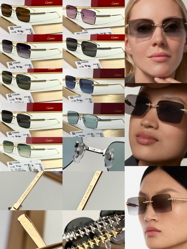 Cartier Glasses 08smh250 (8)