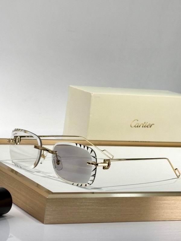 Cartier Glasses 08smh251 (2)