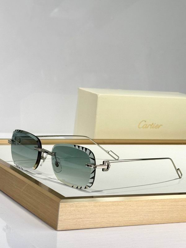 Cartier Glasses 08smh251 (3)
