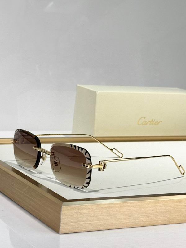 Cartier Glasses 08smh251 (4)