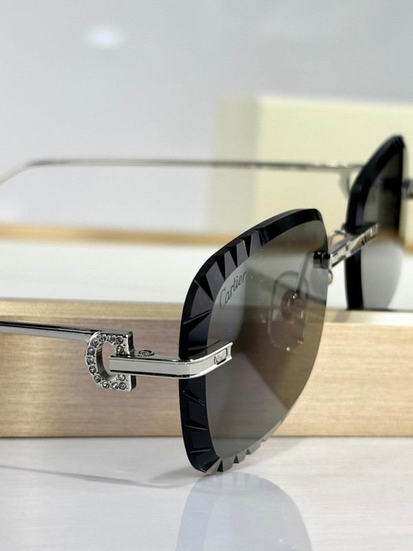 Cartier Glasses 08smh251 (8)