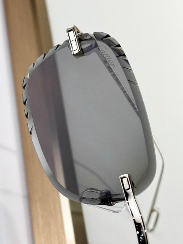 Cartier Glasses 08smh251 (9)