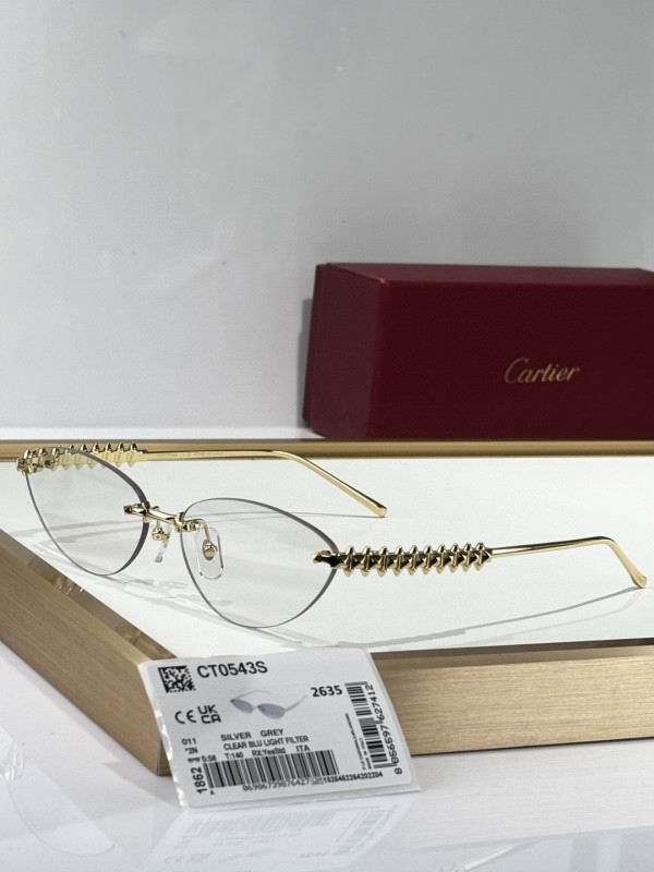 Cartier Glasses 08smh252 (10)