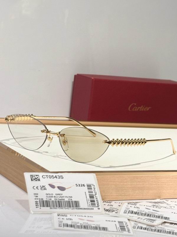 Cartier Glasses 08smh252 (12)