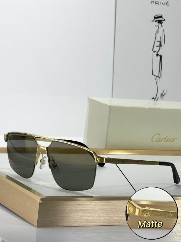 Cartier Glasses 08smh253 (2)