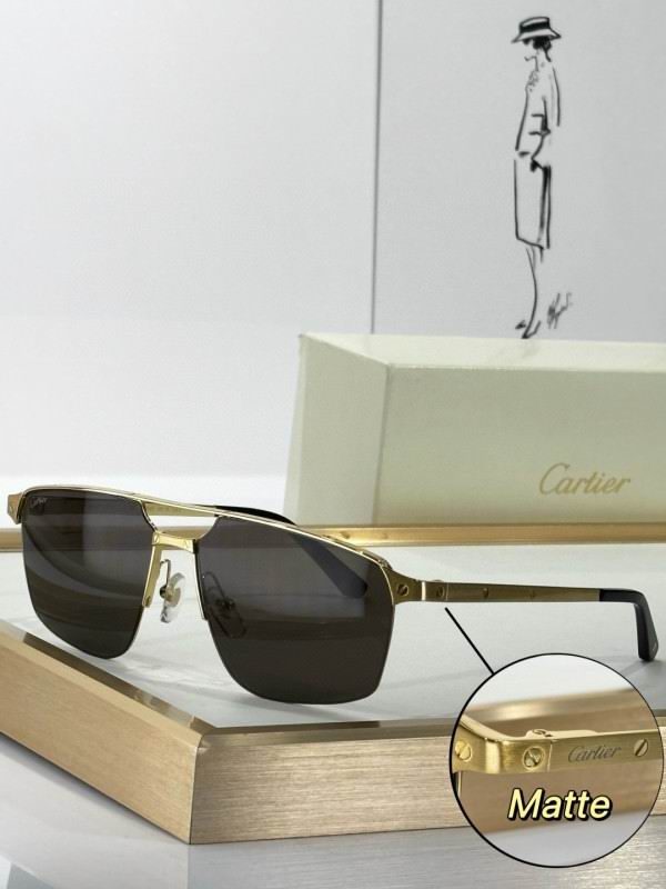 Cartier Glasses 08smh253 (3)