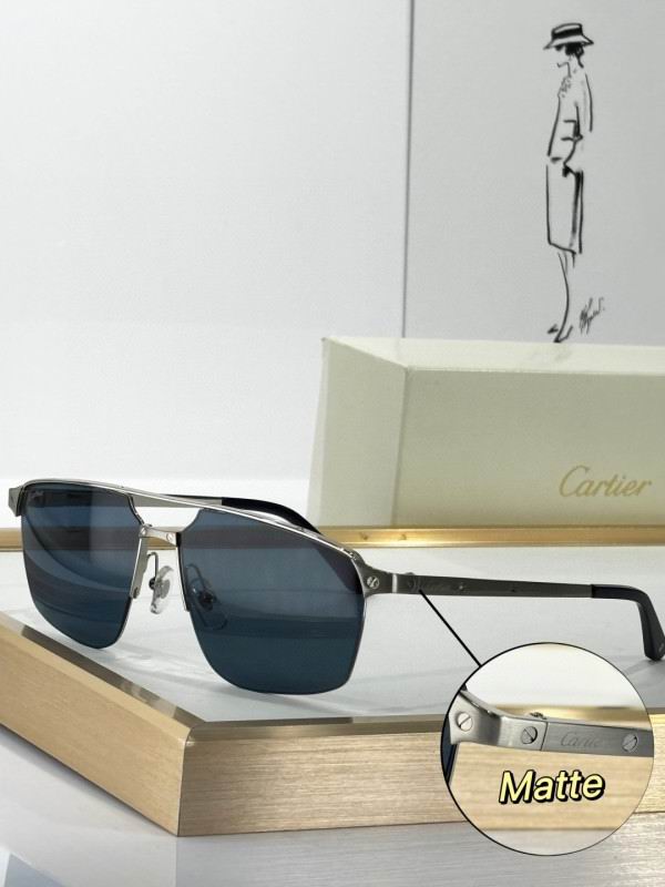 Cartier Glasses 08smh253 (4)