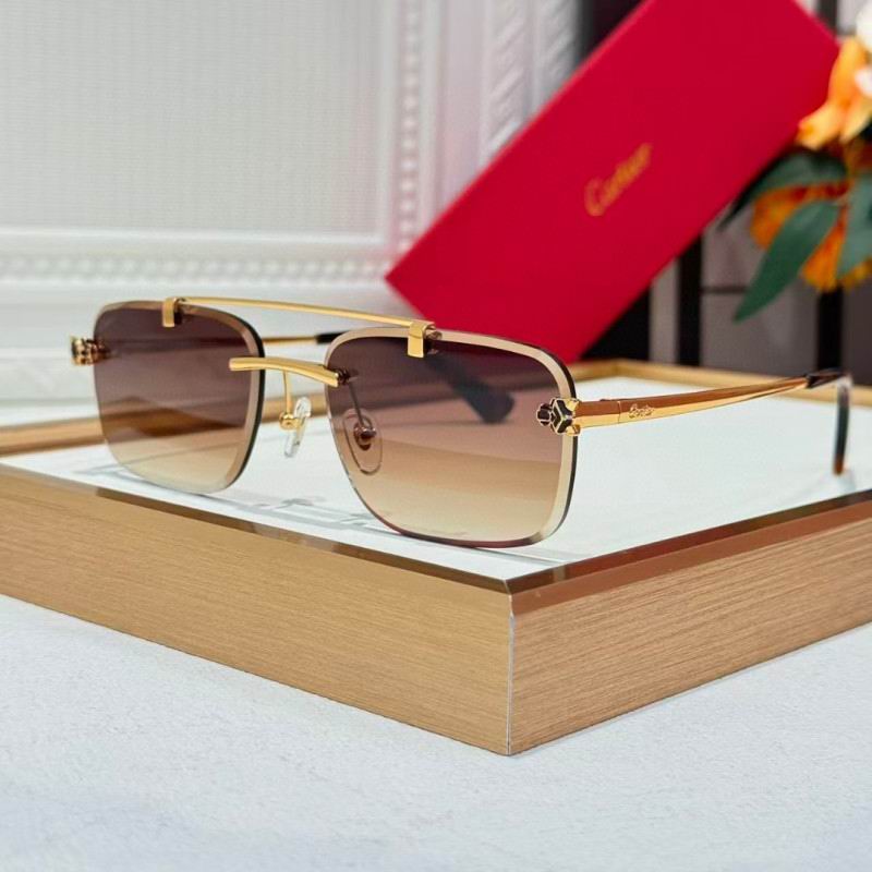 Cartier Glasses 08smh254 (2)